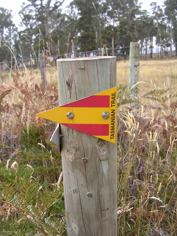 The signs that sometimes pointed us in the right direction