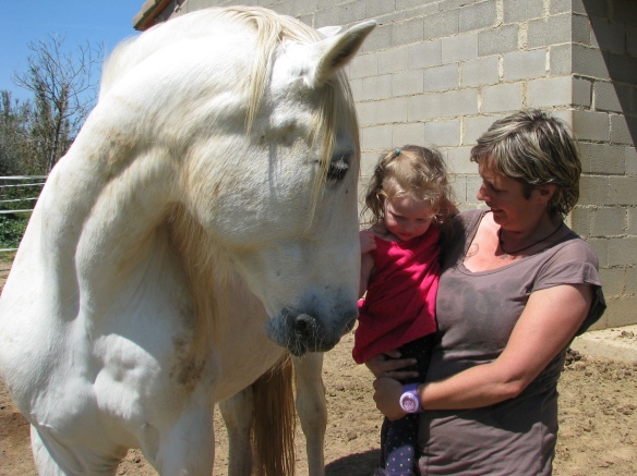 Amaya with Oro - an Andalusian thoroughbred 