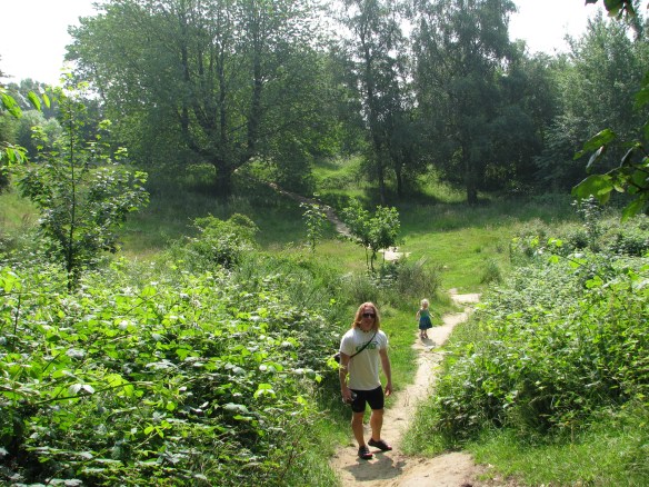 Australian miners placed bombs under German positions to create this crater.