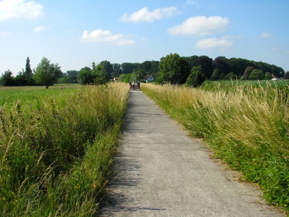 So much bike infrastructure! The way the world should be!