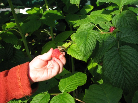 Bit different from eating a snail - but what a find! 